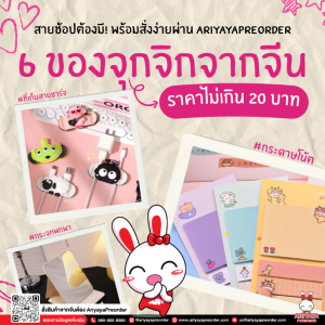 6 ของจุกจิกราคาไม่เกิน 20 บาทจากจีน สายช้อปต้องมี! พร้อมสั่งง่ายผ่าน Ariyayapreorder