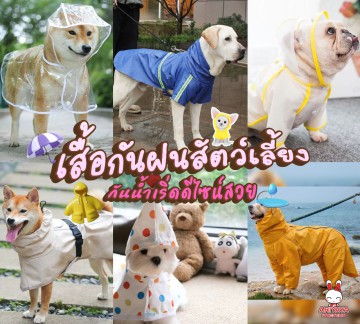 https://item.taobao.com/item.htm?abbucket=9&id=658234443628&mi_id=0000T6UkHwg9soXfUPxw2DGZRqFbJWupJ4zhvfPQi7BQqs4&ns=1&priceTId=2100c88117795164970662421e0d1c&skuId=4741972876807&spm=a21n57.1.hoverItem.7&utparam=%7B%22aplus_abtest%22%3A%22c87511457ade24c00372f0583db07324%22%7D&xxc=taobaoSearch