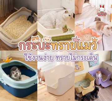 https://item.taobao.com/item.htm?abbucket=9&id=960671575041&mi_id=0000Z8jbtkgzzzY5_EyhvjL5BAJ7jwMw_9gJhxcbB3qenfc&ns=1&priceTId=2100c90117815923187806616e0737&skuId=5895910109020&spm=a21n57.1.hoverItem.21&utparam=%7B%22aplus_abtest%22%3A%22d3e7621e06a333f98bd34ca6fc9dad81%22%7D&xxc=taobaoSearch