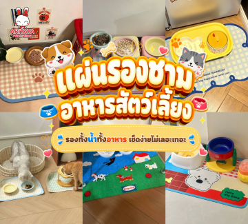 https://item.taobao.com/item.htm?abbucket=9&id=1019667772601&mi_id=0000SE5HJz3cSqn9d6Q2HyCP3sbhwZXpd1DU8TkiMw7q91k&ns=1&priceTId=2100c91417861587221751520e0a2a&skuId=6028398045276&spm=a21n57.1.hoverItem.43&utparam=%7B%22aplus_abtest%22%3A%22bb0eded5e3bacb6caaaab2689f293a7b%22%7D&xxc=taobaoSearch