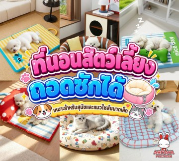 https://detail.tmall.com/item.htm?id=1025290038453&mi_id=0000G8jvEou3vzp4MWLL2sbJmuBZCvDgRmQakplE-tZ6kuM&pvid=0b103323-e9eb-40e0-aa06-062591b0c656&scm=1007.54964.509742.0&skuId=6078044893016&spm=pc_detail.30350276.201876.d52.12917dd6VNmj6t&utparam=%7B%22x_object_type%22%3A%22item%22%2C%22matchType%22%3A%22MAIN_SWING_I2I%22%2C%22item_price%22%3A%2213.8%22%2C%22umpCalled%22%3Atrue%2C%22pc_scene%22%3A%2220001%22%2C%22userId%22%3A2208142676129%2C%22ab_info%22%3A%2244964