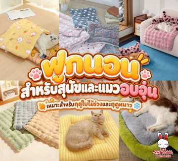 https://item.taobao.com/item.htm?id=821903625897&mi_id=0000Ct_2g2vRfUmXw86GTgtVZqfWqz5Ux3Ipa2d4f9ZGkhQ&pvid=dbfe6889-4dfc-4fd6-9b2d-e1b0140c9873&scm=1007.54964.509742.0&skuId=6091129803374&spm=pc_detail.30350276.201876.d31.753f5fceITKISc&utparam=%7B%22x_object_type%22%3A%22item%22%2C%22matchType%22%3A%22disc_dm_pvlist%22%2C%22item_price%22%3A%223.9%22%2C%22umpCalled%22%3Atrue%2C%22pc_scene%22%3A%2220001%22%2C%22userId%22%3A2208142676129%2C%22ab_info%22%3A%2244964%23509742%23-1%23%22%2C%22tpp_buckets%22%3A%2244964%23509742%23-1%23%22%2C%22aplus_abtest%22%3A%228fcd60f4ac3745c4f55453f222f83605%22%2C%22isLogin%22%3Atrue%2C%22abid%22%3A%220%22%2C%22pc_pvid%22%3A%22dbfe6889-4dfc-4fd6-9b2d-e1b0140c9873%22%2C%22isWeekLogin%22%3Afalse%2C%22rn%22%3A5%2C%22item_ecpm%22%3A0%2C%22ump_price%22%3A%223.9%22%2C%22isXClose%22%3Afalse%2C%22x_object_id%22%3A821903625897%7D&xxc=home_recommend