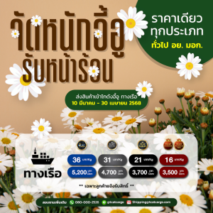 จัดหนัก อี้อู รับหน้าร้อน